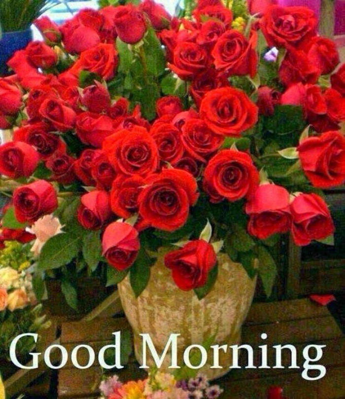 Good Morning Wish To You