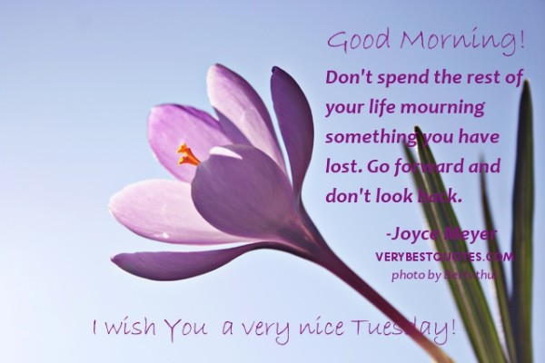 Good Morning Wish You A Very Nice Tuesday-wm725