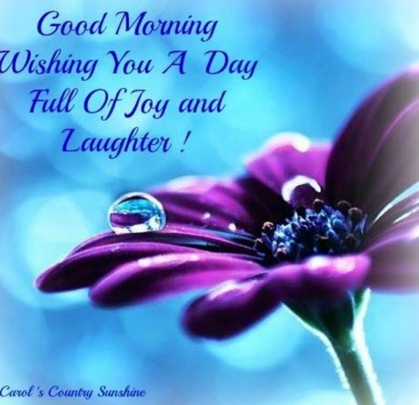 Good Morning Wishing You A Day Full Of Joy-wm13062