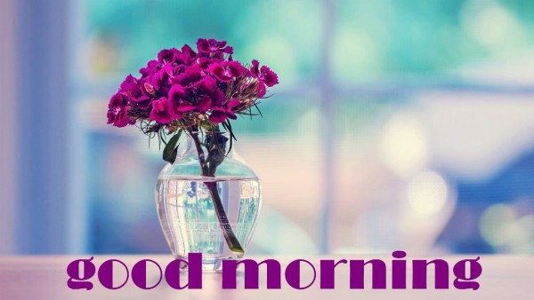 Good Morning With Beautiful Purple Flowers-wm13065