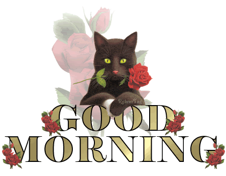 Good Morning With Black Cat-wm1123