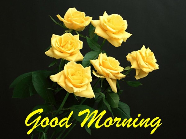 Good Morning With Bunch Of Yellow Roses-wm13068