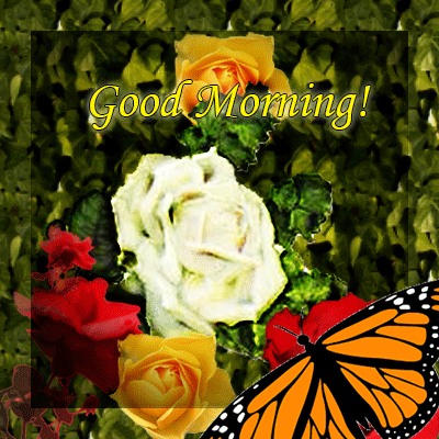 Good Morning With ButterflyA Sweet Good Morning-WG10130