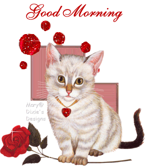 Good Morning With Cute Cat-wm1126