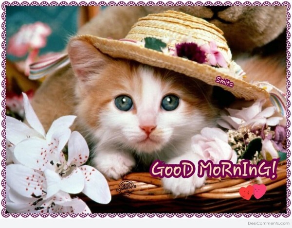 Good Morning With Cute Cat-wm1127