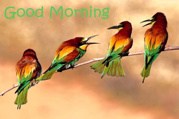 Good Morning With Lovely Birds-WG150