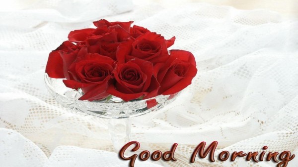 Good Morning With Red Roses-wm13093