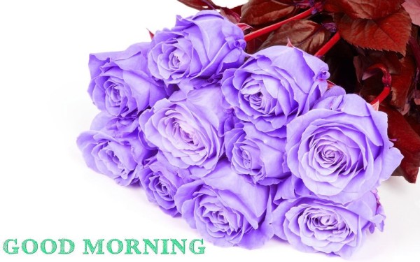 Good Morning With Rose Bouquet-wm13094