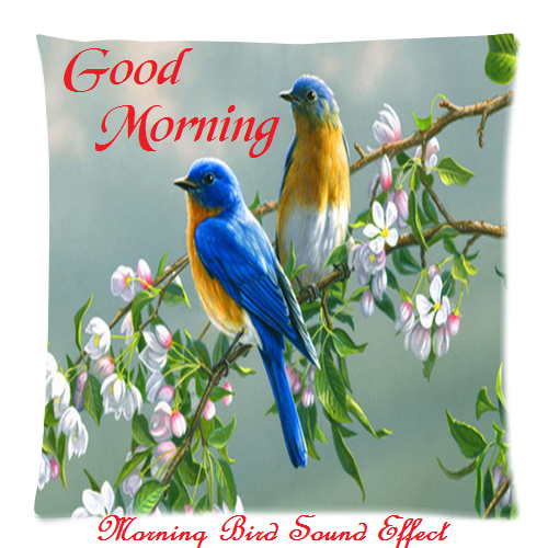 Good Morning With Sweet Birds Imag-WG153