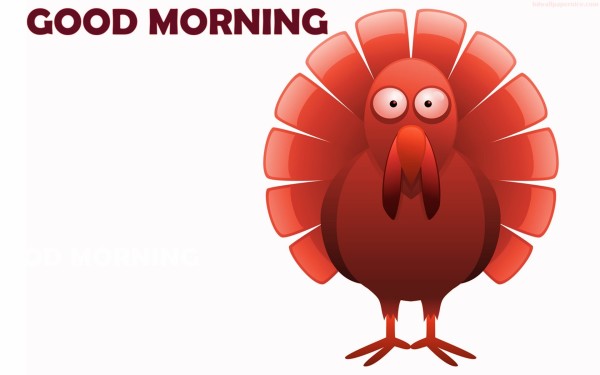Good Morning With Turkey Bird-WG155