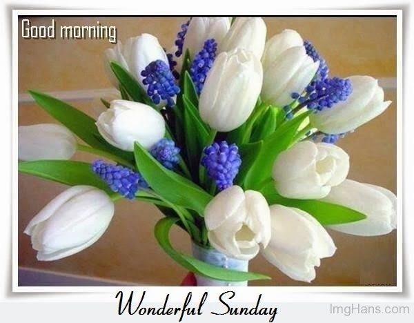 Good Morning Wonderful Sunday-wm426