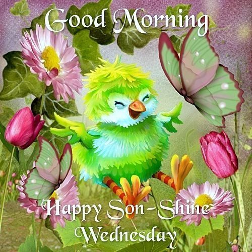 Good Morning happy Sunshine Wednesday-wm808