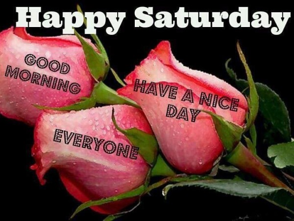 Happy Saturday Good Morning-wm344