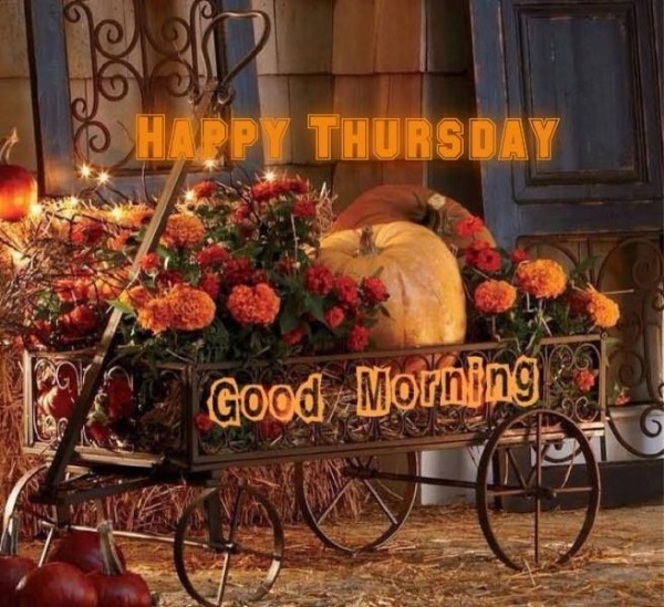 Happy Thursday Good Morning !!-wm524