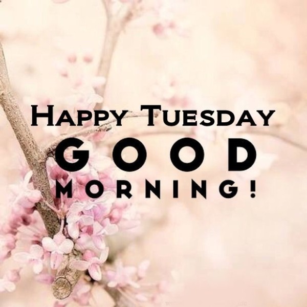 Happy Tuesday Good Morning !-wm731