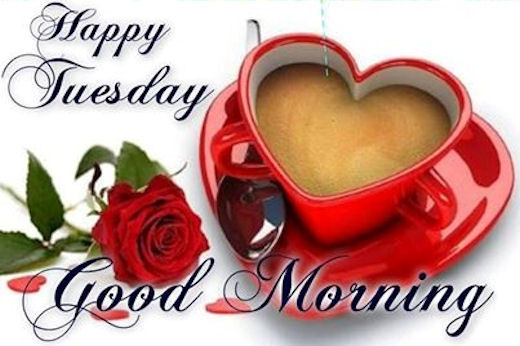 Happy Tuesday Good Morning