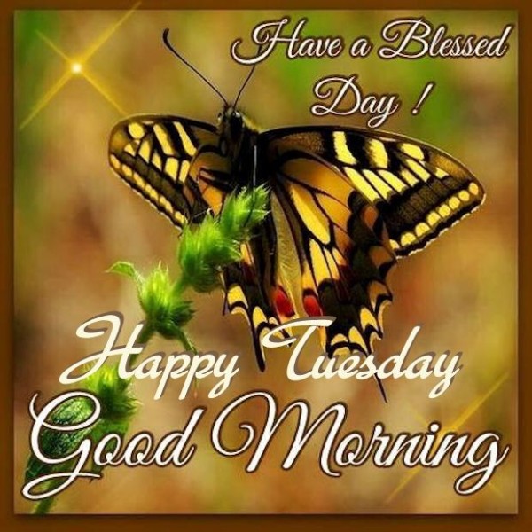 Have A Blessed Day – Happy Tuesday