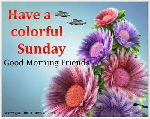 Have A Colorful Sunday Good Morning-wm434