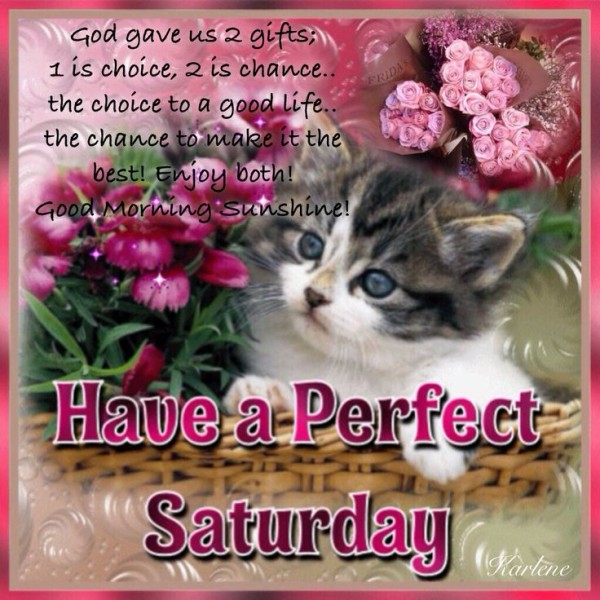 Have A Perfect Saturday-wm348