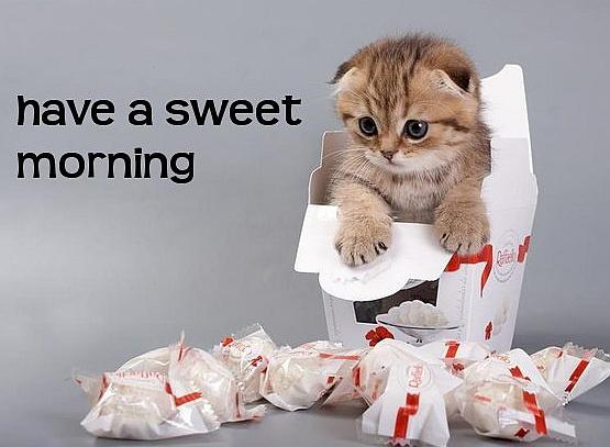 Have A Sweet Morning !-wm1138