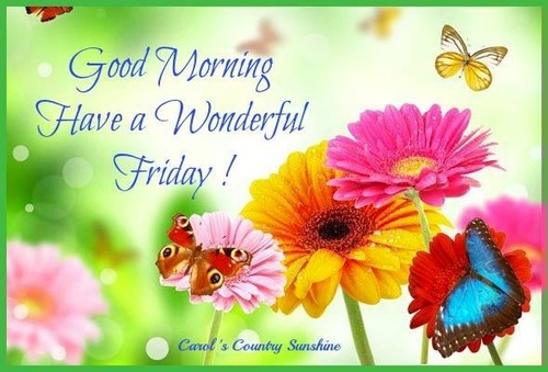 Have A Wonderful Friday Good Morning-wm138