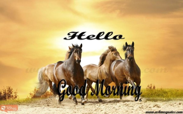 Hello Good Morning-wm1621