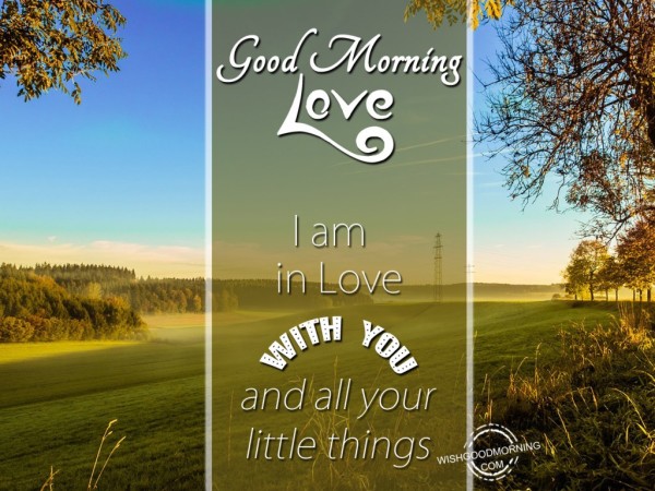 I Am In Love With You Good Morning