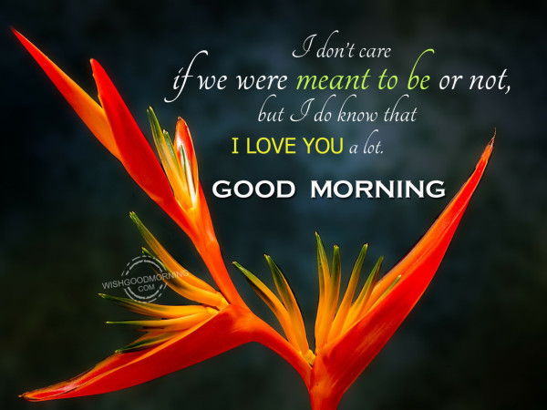 I Love You Alot Good Morning-Wg33