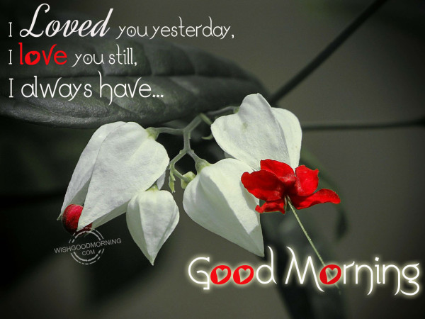 I Love You Still Good Morning-Wg35