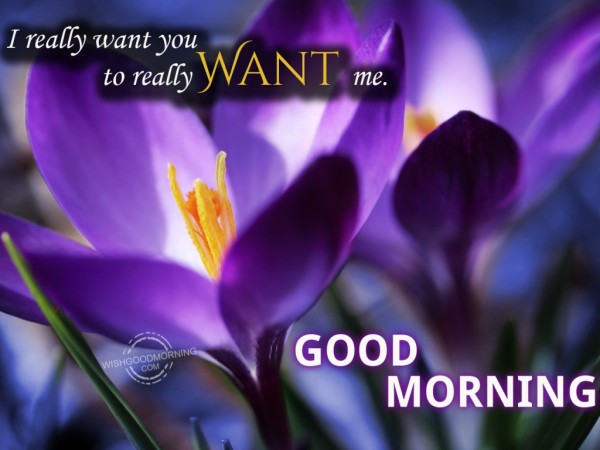 I Really Want You Good Morning