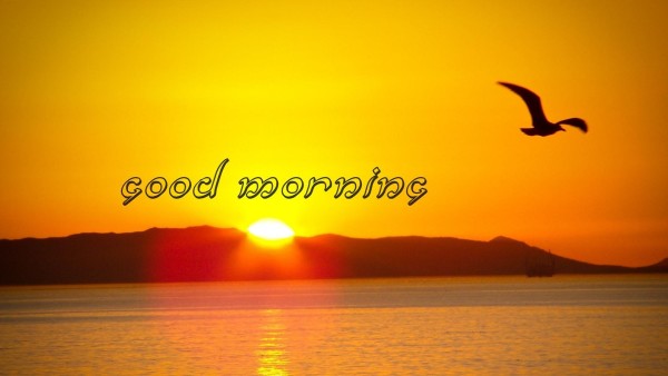 Image Of Good Morning-WG176