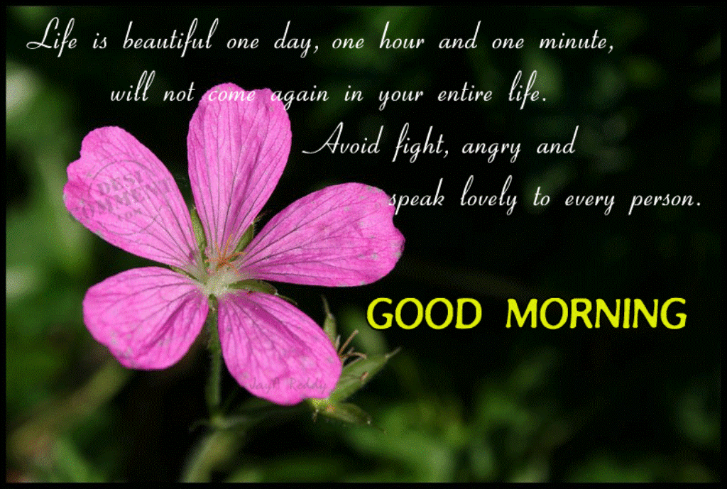 Life Is Beautiful – Good Morning