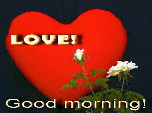 Love Good Morning 