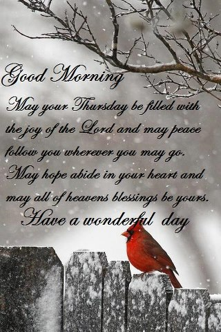 May Your Thursday Be Filled With Joy Good Morning-wm529