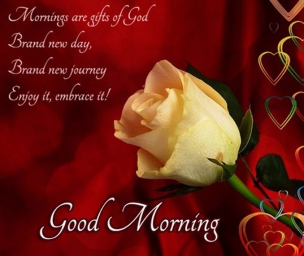 Morning Are Gift Of God -mn1-wm13124