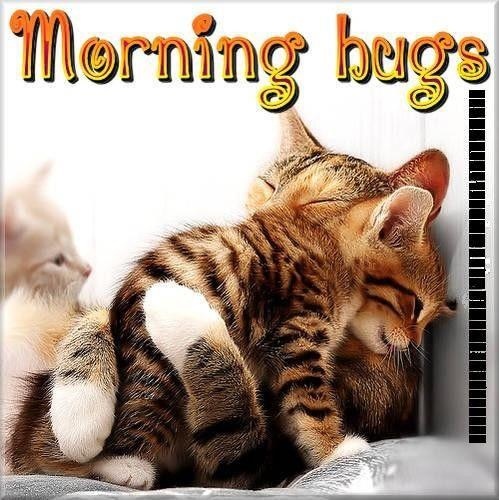 Morning Hugs-wm1143