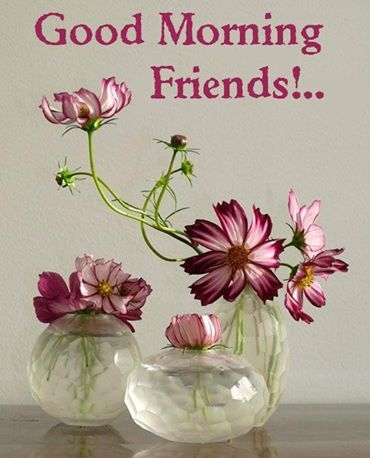 Morning Wish For Friend-WG160
