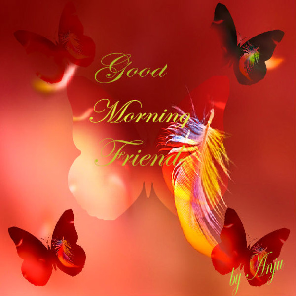 Morning Wish To Friends-WG164