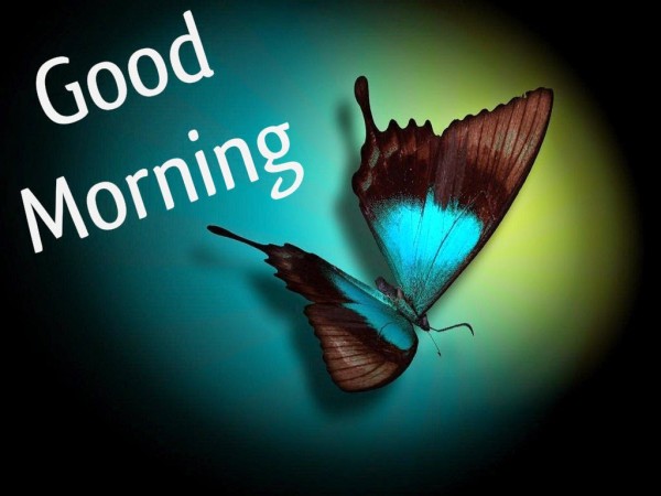 Morning Wish