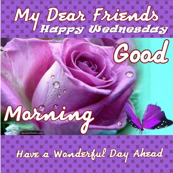 My Dear Friend Happy Wednesday-wm843