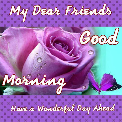 My Dear Friends Good Morning-wm143