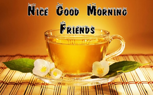 Nice Good Morning Friends -mn1-WG166