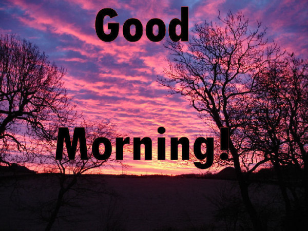 Pleasent Good Morning-WG163