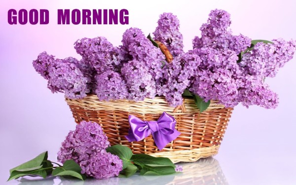 Sending U Bautiful Flowers On Good Morning-wm13129