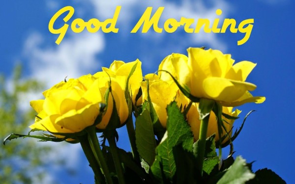 Sending U Yellow Flowers To Wish U Good Morning-wm13131