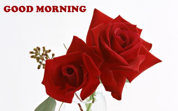 Sending You Red Roses On Morning-wm13132