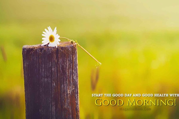 Start The Good Day And Good Health-WG167