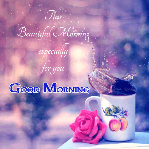 This Beautiful Morning Especially For You-Wg52