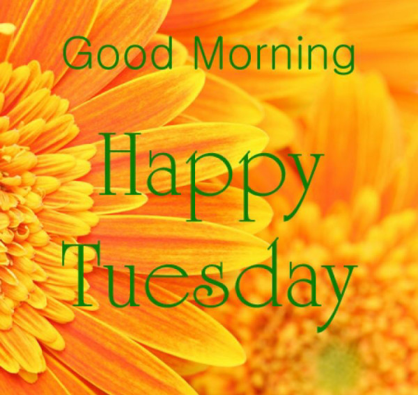 Tuesday Morning !-wm739