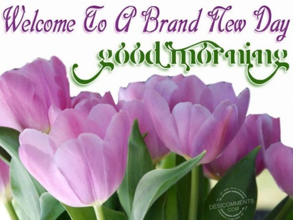 Welcome To A Brand New Day Good Morning-wm13136